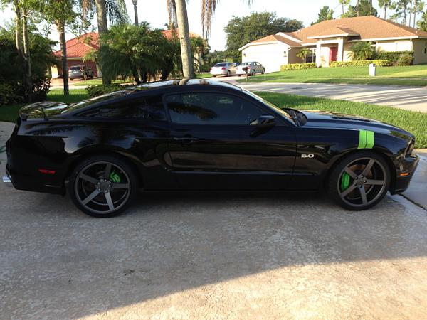 New shoes!!!-image-1728984811.jpg