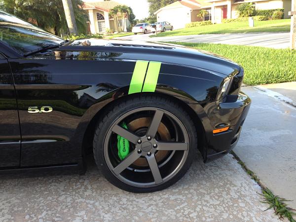 New shoes!!!-image-3757004707.jpg