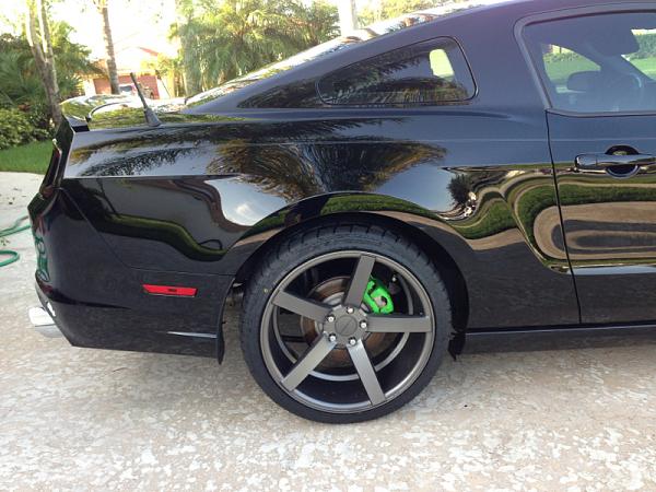 New shoes!!!-image-3194299732.jpg