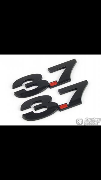 Black emblems on Black Stang: picture request-image-4073576172.jpg