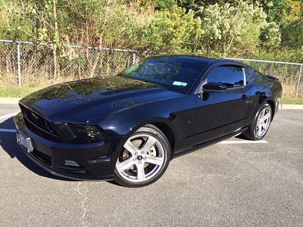 Black emblems on Black Stang: picture request-image-2915564248.jpg