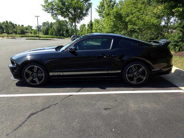 Black emblems on Black Stang: picture request-image-3350556836.jpg