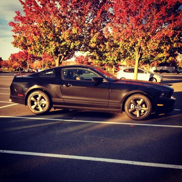 Post pics of your black stang!-image-1983723072.jpg