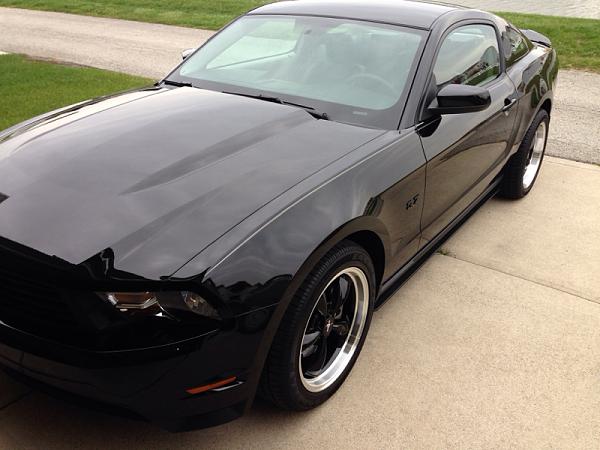 Black emblems on Black Stang: picture request-image-721693862.jpg