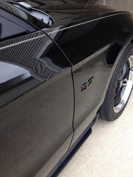 Black emblems on Black Stang: picture request-image-1965916125.jpg