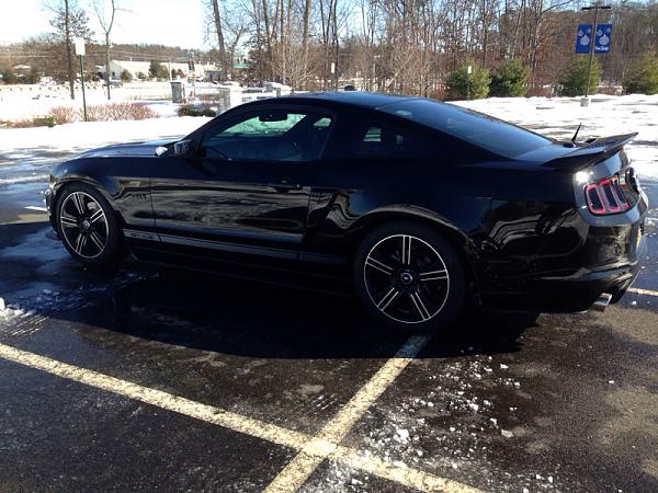 Black emblems on Black Stang: picture request-image-2471550069.jpg