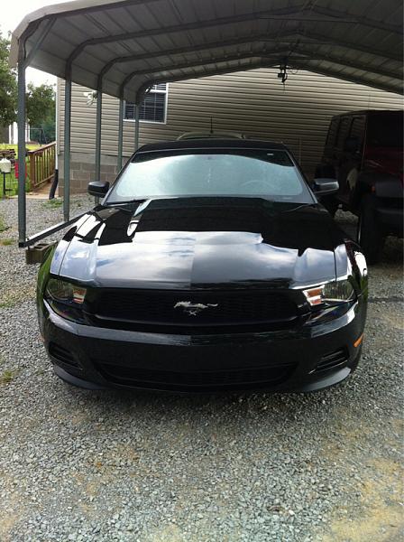 Post pics of your black stang!-image-1122033637.jpg