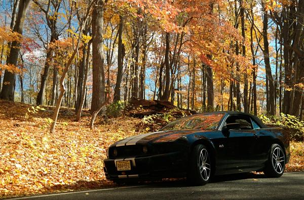 Post pics of your black stang!-005-copy-2-.jpg