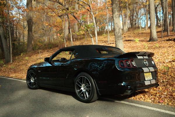 Post pics of your black stang!-011.jpg