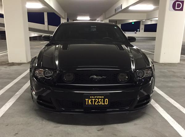 Post pics of your black stang!-blackplate1.jpg