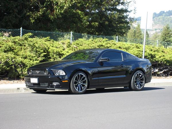 Post pics of your black stang!-golf-course1.jpg