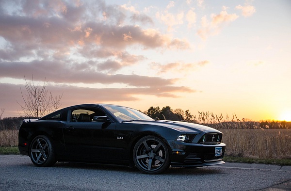 Nathan's 2014 Brembo GT-12983351_1245815862113420_6465530795374333349_o.jpg