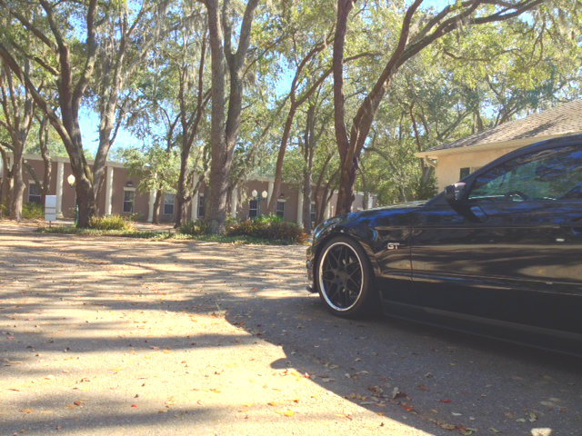 Name:  photo-131.jpg
Views: 90
Size:  116.0 KB