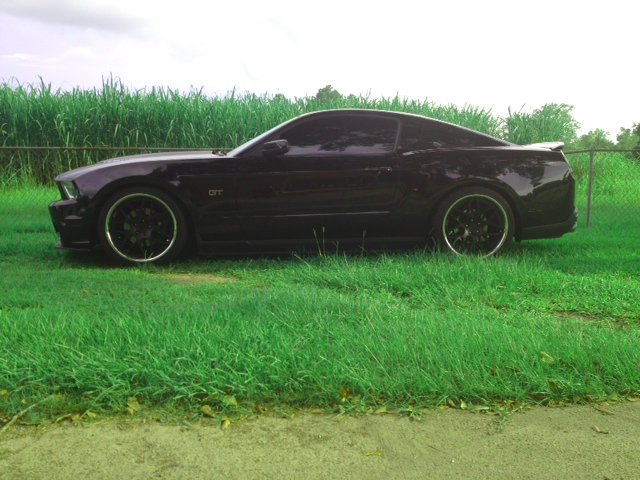 Name:  photo-1.jpg
Views: 143
Size:  82.8 KB