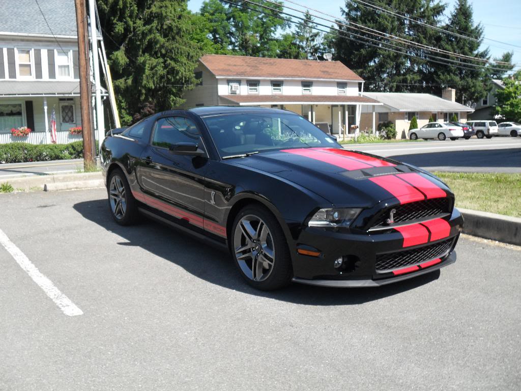 Name:  GT500day24July2010002.jpg
Views: 37
Size:  146.2 KB