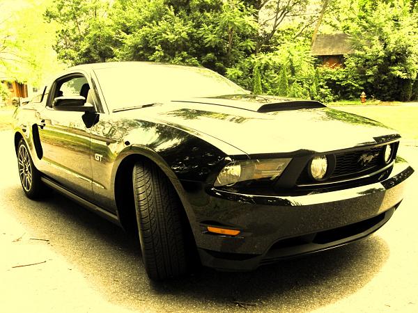 some new pics. 2010 Mustang GT-img_1682old.jpg