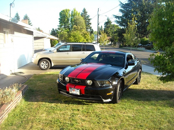 My black mustang-dscn0296.jpg