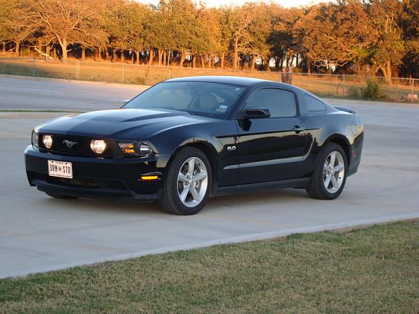 Own a Black 'Stang? Love it, Hate it, Both ??-black-2.jpg