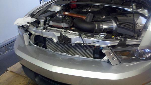My new '11 Cal Spec Vert-2012-02-20_16-26-50_578.jpg