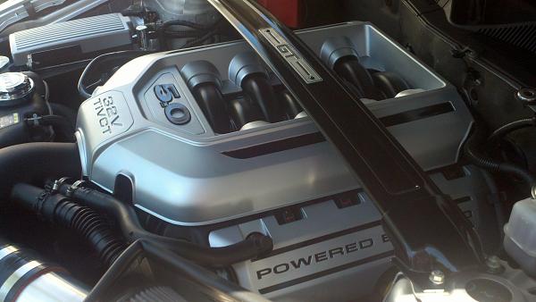My new '11 Cal Spec Vert-2012-05-17_14-20-44_104.jpg