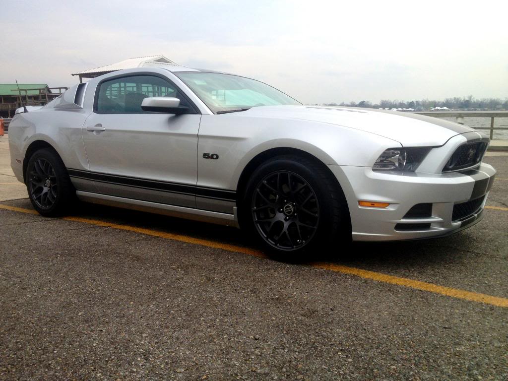 Name:  stang2_zps40f99e6f.jpg
Views: 691
Size:  113.8 KB
