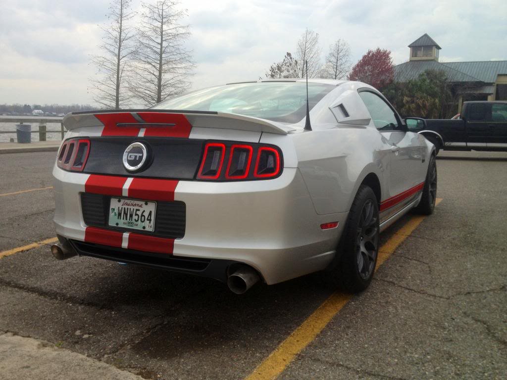 Name:  redrear_zpsb8ef1fba.jpg
Views: 733
Size:  93.9 KB