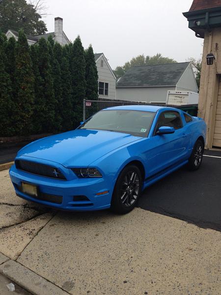 Grabber Blue Roll Call-image-3297166907.jpg