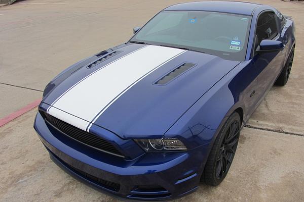STABB3D BY GiRL 5.0 GT Build journal-2013-gt-blue-matte-wht-boss-hood-lrg.jpg
