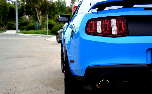 Grabber Blue Roll Call-image.jpg