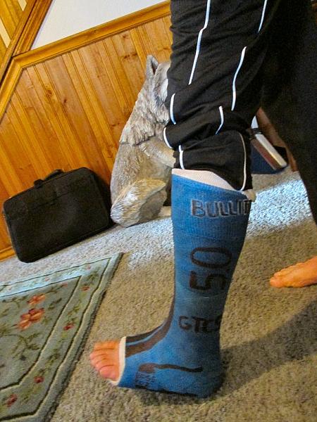 Grabber Blue Roll Call-img_0623.jpg