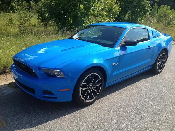 Grabber Blue Roll Call-mustang.jpg