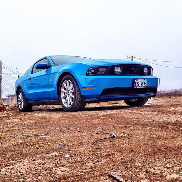 Grabber Blue Roll Call-image-2154259508.jpg