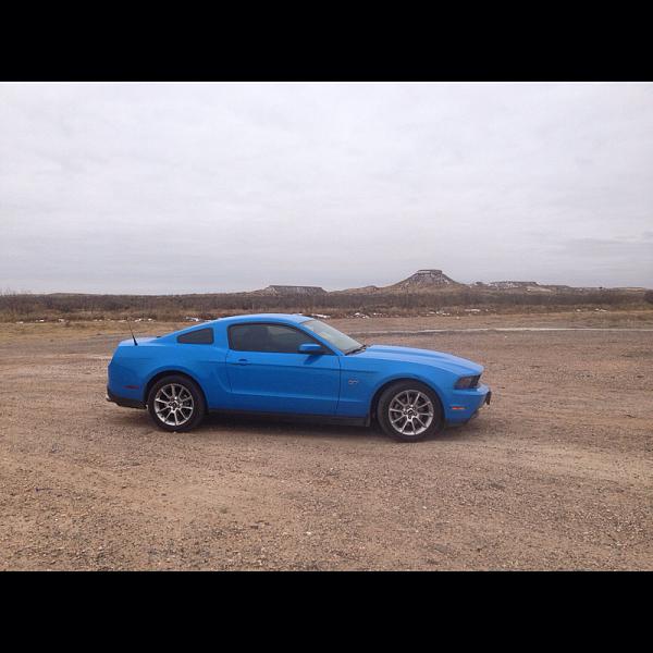 Grabber Blue Roll Call-image-180548110.jpg