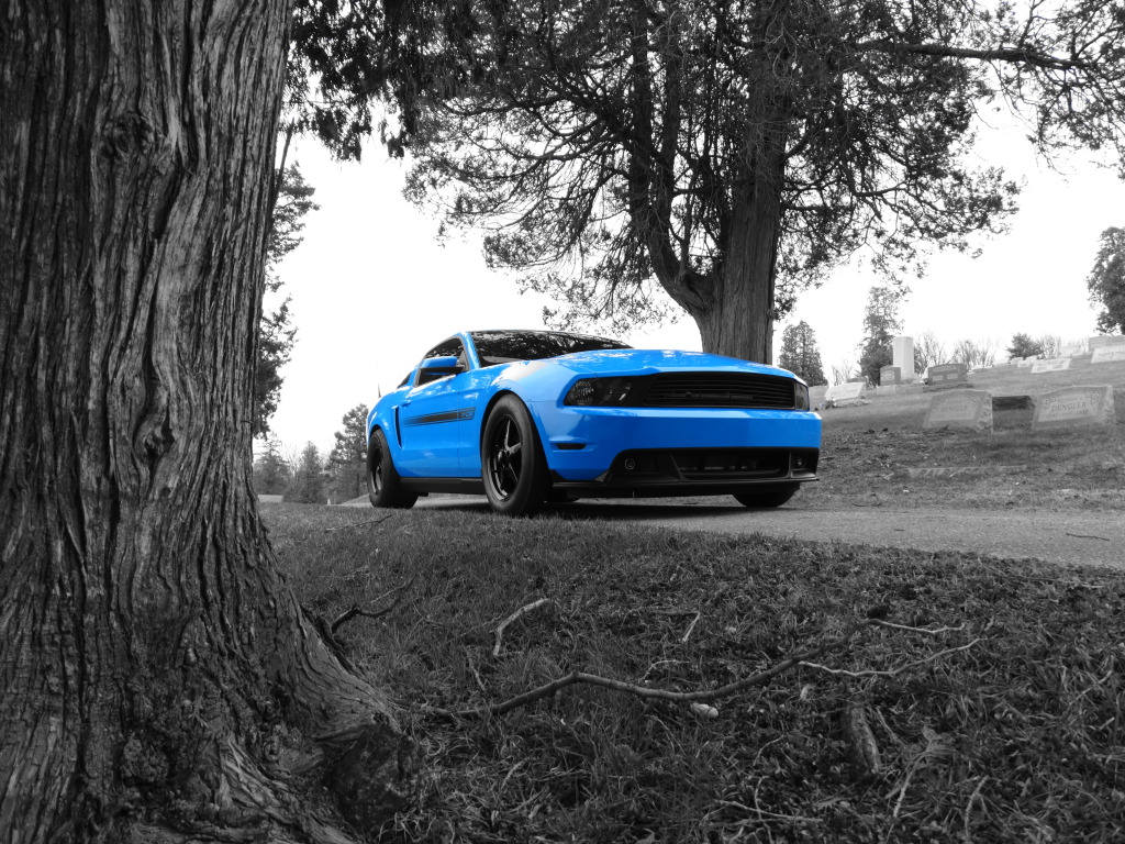 Name:  14839735_zps30db96e6.jpg
Views: 436
Size:  338.1 KB