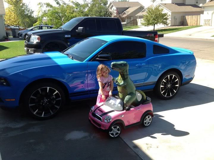 Name:  mustang4.jpg
Views: 66
Size:  71.1 KB