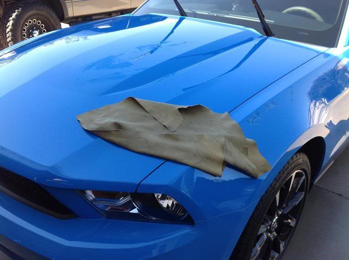 Name:  mustang2.jpg
Views: 68
Size:  44.8 KB