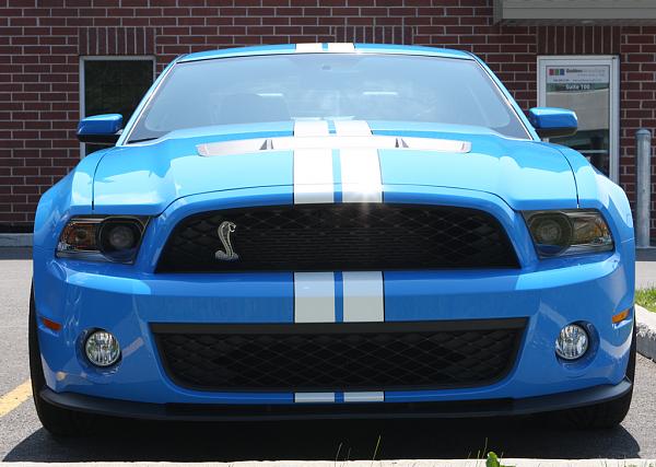How many TMS Grabber Blue Owners-shelby5.jpg