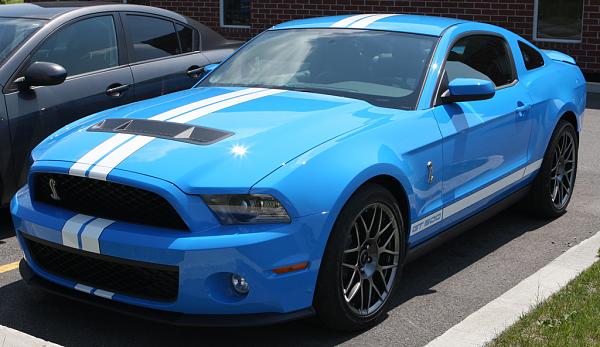 How many TMS Grabber Blue Owners-shelby2.jpg
