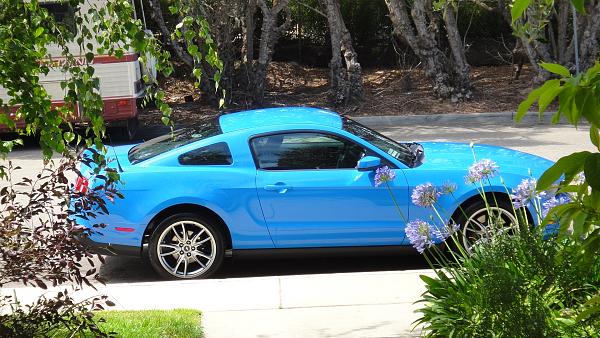 My 2011 Grabber Blue GT-dsc00689.jpg