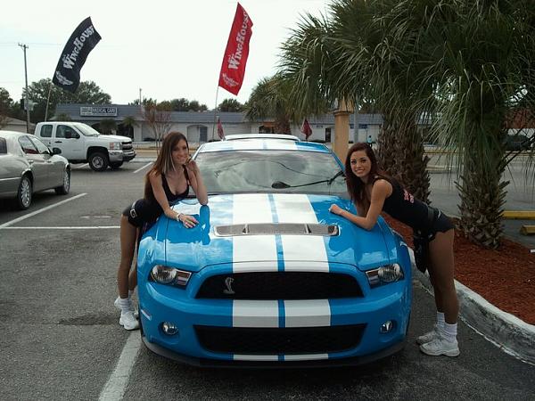 Took some pictures of the Shelby today-shelby-5.jpg