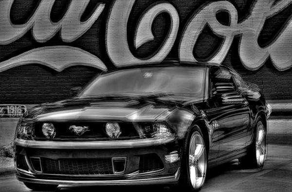 My HDR attempts-mustang-b-w-fuzzy.jpg