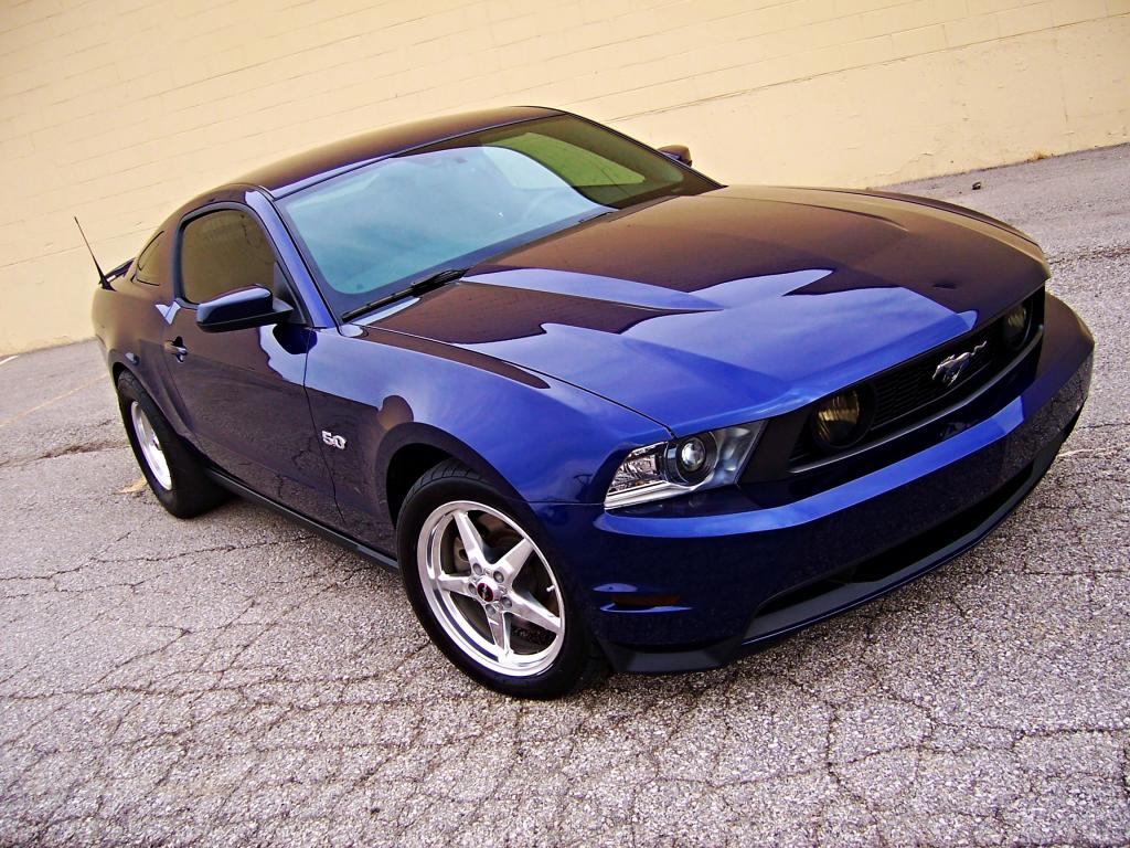 Name:  101_0901.jpg
Views: 105
Size:  162.0 KB