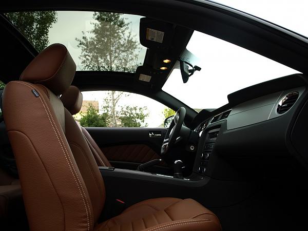 Mustang GT 2011 Kona Blue Saddle-p5280922s.jpg