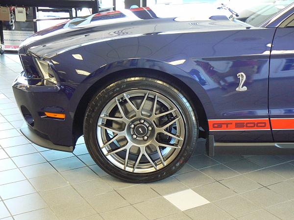 2011 GT500 SVTPP Kona w/Red stripes-p1110471.jpg