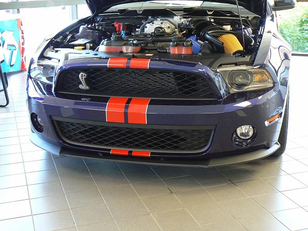 2011 GT500 SVTPP Kona w/Red stripes-p1110469.jpg