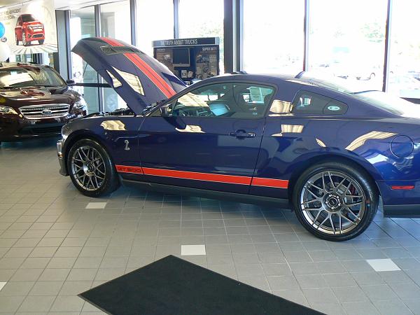 2011 GT500 SVTPP Kona w/Red stripes-p1110466.jpg