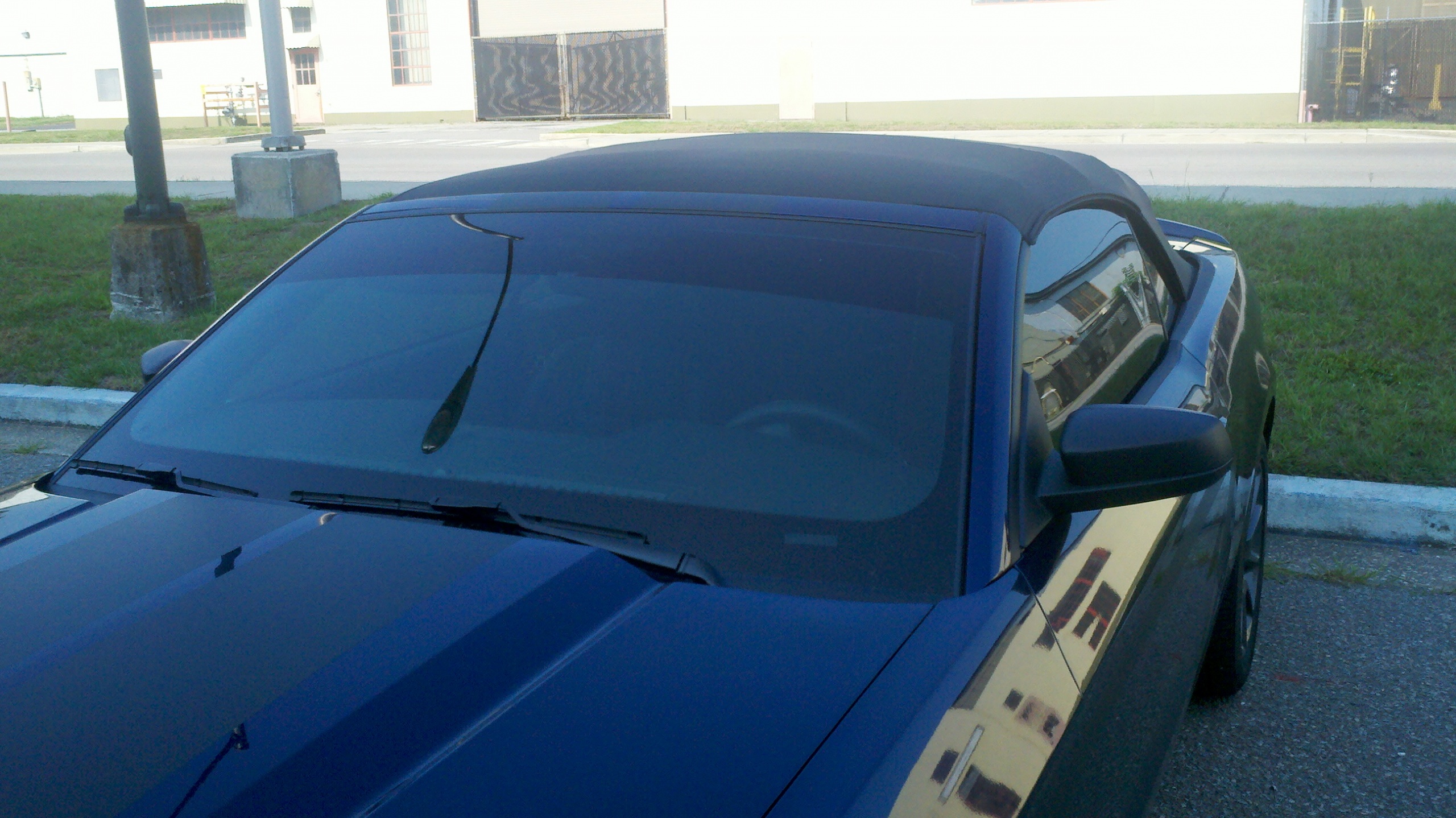 Window Tint Percent On Kona The Mustang Source Ford Mustang Forums