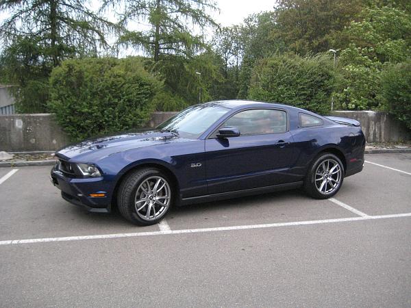 my mustang has FINALLY arrived! hello from a total newbie-img_3364.jpg
