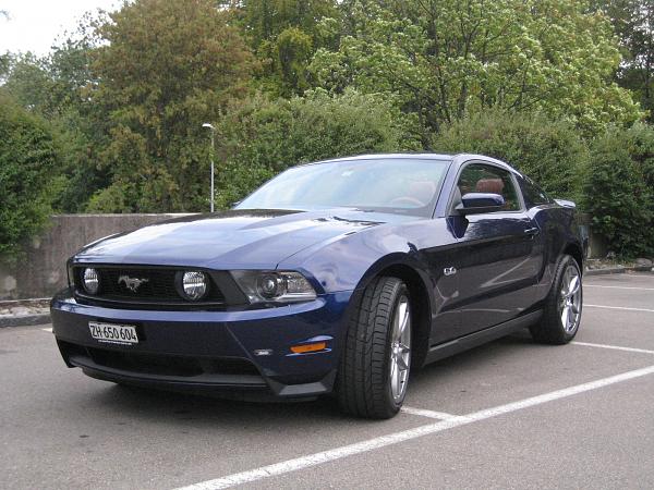 my mustang has FINALLY arrived! hello from a total newbie-img_3365.jpg