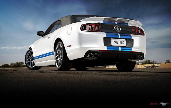 Performance white pics-2013-shelby-wt-blu-vert-005.jpg